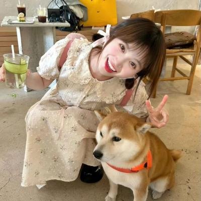 麦田里的反叛者